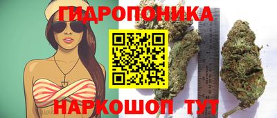 крисы Ачхой-Мартан