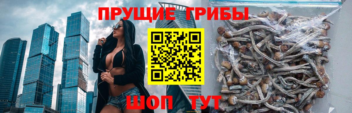 Галлюциногенные грибы прущие грибы Асбест
