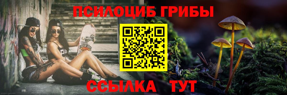 Галлюциногенные грибы мицелий  Вход с VPN  Псилоцибиновые грибы Psilocybine cubensis  Асбест 