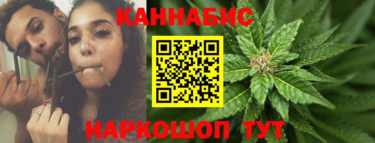 Конопля гибрид Асбест
